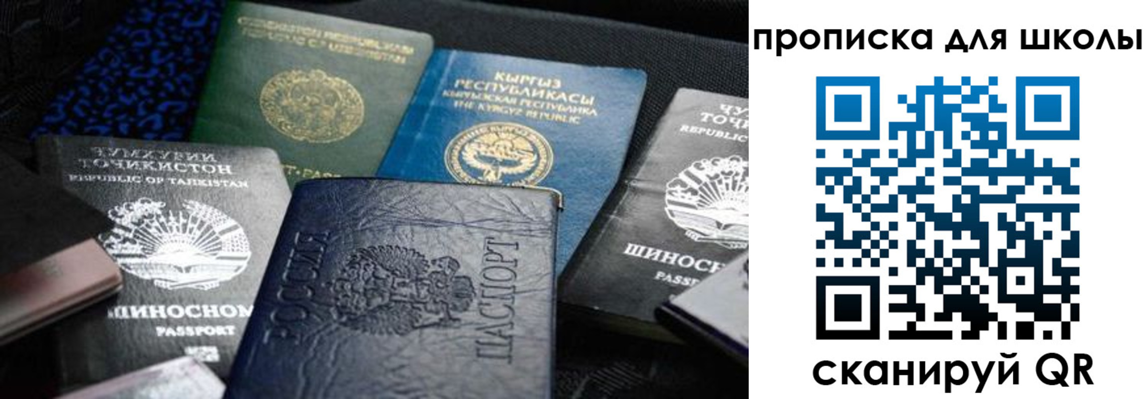 пропишу в квартире в Липецке